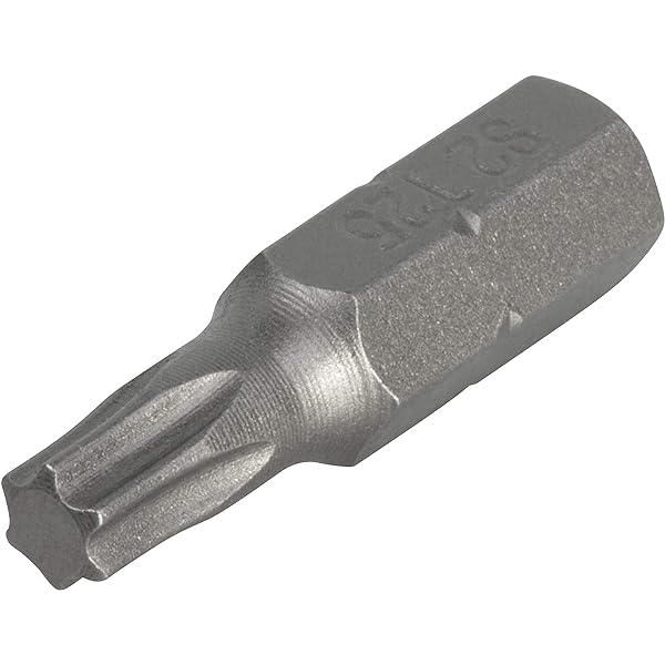 Inserto TORX TX30 L.25